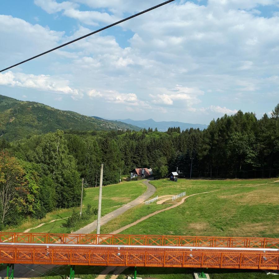 Lucni *
