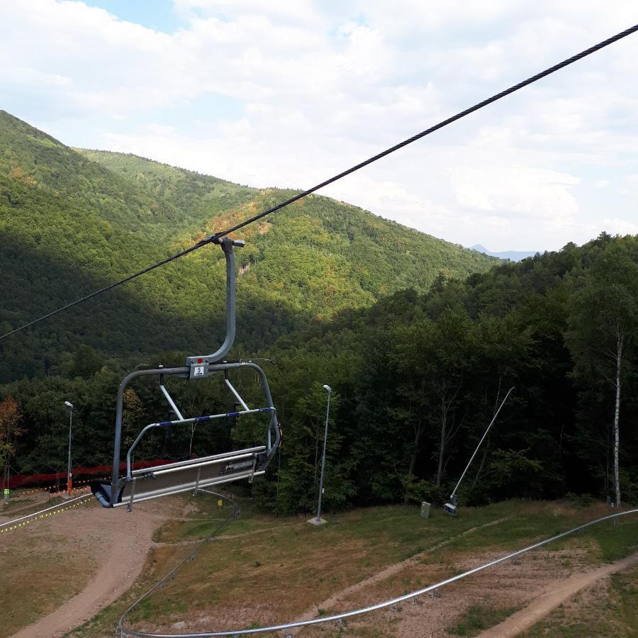 Lucni