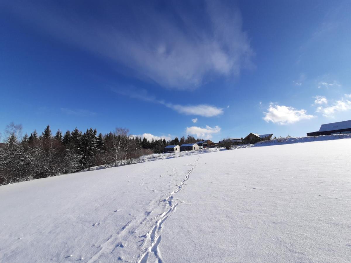 Chalet Lucni