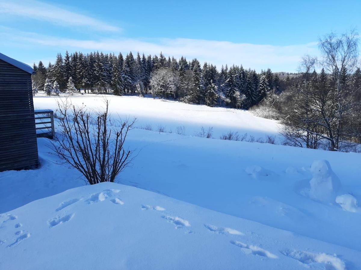 Chalet Lucni