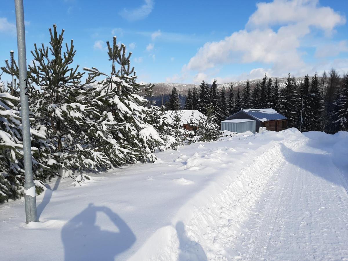 Chalet Lucni